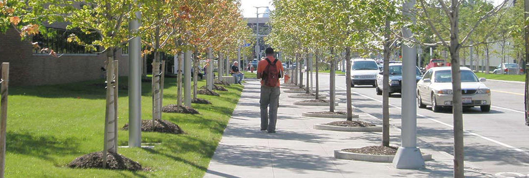 Euclid Corridor Streetscape Revitalization