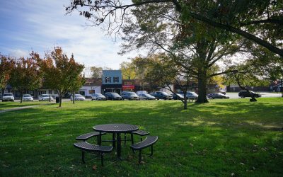 Sunbury Parks and Recreation Master Plan